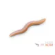 Delphin B! StinxWorm Shrimp Gumihal 4cm