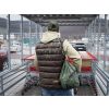 Delphin Simple Bag Carp Hátizsák