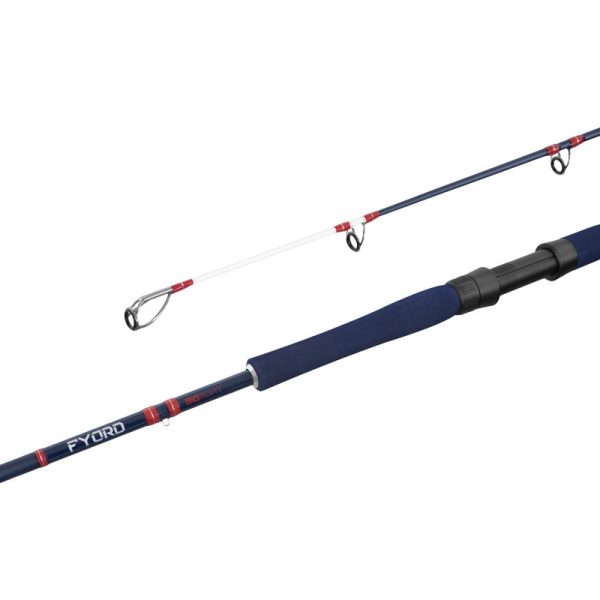 Delphin Fyord BigBoat 2,20m 300-400gr 2 Részes Harcsázó Bot
