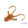 Delphin B! Stinx Nympha Fruity 2,5cm Műcsali 20db