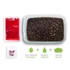 Delphin Reaxe Ready&Go Szilva-Eperfa Pellet Box 400gr +120ml Booster + 10mm Wafter