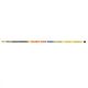 Arno Daisy 6,00m 6 Részes Spiccbot