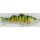 Rapture Silent Swim S Perch 15cm 48gr Wobbler