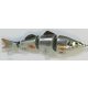 Rapture Silent Swim S Roach 15cm 48gr Wobbler