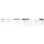 By Döme Team Feeder Pro Method Feeder 390H_Feeder Spicc Light