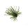 Rapture TG Finesse Rub Jig 3,5gr #01 Watermelon Szoknyás Jig