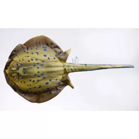 EnergoTeam The Bluespotted Stingray 85cm Halas Párna