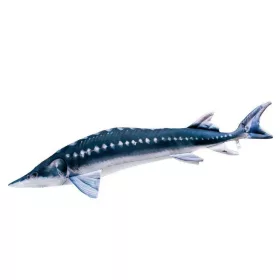 EnergoTeam The Monster European Sturgeon 200cm Halas Párna
