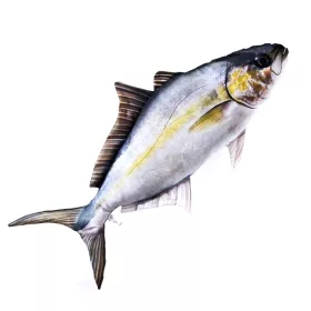 EnergoTeam The Amberjack 105cm Halas Párna