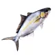 EnergoTeam The Amberjack 105cm Halas Párna