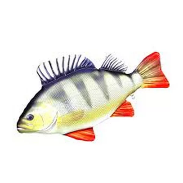 EnergoTeam The Monster Perch 160cm Halas Párna