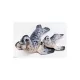 EnergoTeam The Grey Seal 55cm Halas Párna