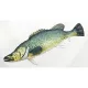 EnergoTeam The Murray Cod 100cm Halas Párna