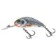SALMO WOBBLER RATTLIN HORNET H5,5 SHS - Wobbler