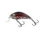 SALMO WOBBLER RATTLIN HORNET H4.5 RLC - Wobbler
