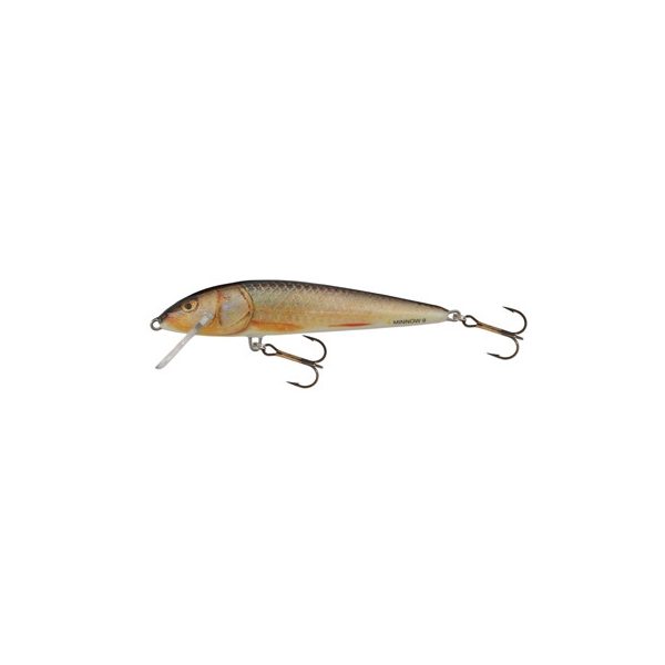 Salmo Wobbler Minnow RR 50mm - 3gr