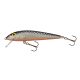 Salmo Wobbler Minnow GS 60mm - 4gr