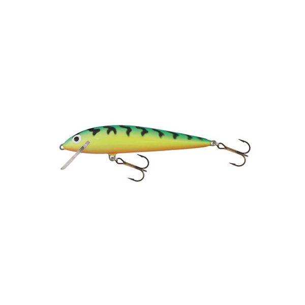 Salmo Wobbler Minnow GT 60mm - 6gr
