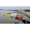 Nevis Impulse Shad 10cm 6,92gr 4db/cs Fehér Plasztik csali