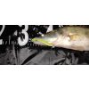 Reiva Zander Power Shad 10cm 7,05gr 4db/cs (Fehér) Plasztik csali