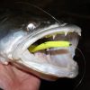 Reiva Flash Shad 10cm 4db/cs Plasztik csali