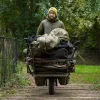 Avid Arctic-Series Sherpa Fleece Dzseki S