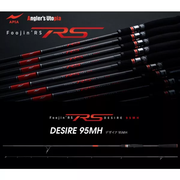 Apia Foojin RS Desire 95MH 2,87m 10-50gr 2 Részes Pergető Bot
