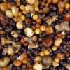 Nash Small Seed Mix 500ml Liquid