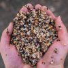 Nash Small Seed Mix 500ml Liquid