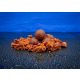 BaitBait Yo-Da Banán-Krill-Fűszer-Robin Red Tartósított Bojli 20mm 1kg