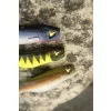 Black Cat Mega Curl Tail Eel 22cm 29gr Plasztik Csali