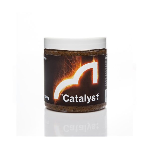 The_Catalyst_Paszta_CATPASTE