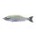 Babyface BB180-MSS 18cm 85gr 37 Chart Back Ghost Wobbler