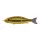 Babyface BB180-MSS 18cm 85gr 38 Bling Bling Gold Wobbler
