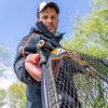 Guru A-Class Landing Net Handle 2 részes Merítőnyél 2,90m