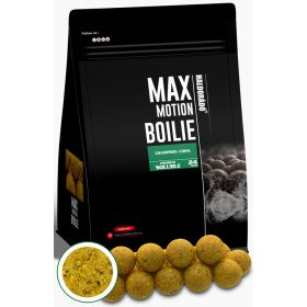   Haldorádó Max Motion Boilie Premium Soluble Champion Corn 800gr 24mm Bojli