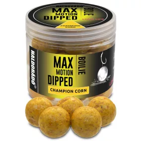  Haldorádó Max Motion Boilie Dipped Champion Corn 100gr 20mm Bojli