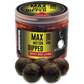   Haldorádó Max Motion Boilie Dipped Fűszeres Vörös Máj 100gr 20mm Bojli