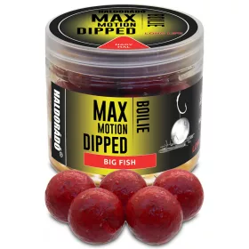   Haldorádó Max Motion Boilie Dipped Nagy Hal 100gr 20mm Bojli
