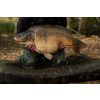 Korda Compac Hybrid Mat Olive 125x85x14cm Pontymatrac