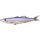 Livetarget Shiner Walking Bait Violet Ghost Shiner 11,5cm 14gr Gumihal