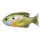 Livetarget Sunfish Walking Bait Natural/gr Naphal Műcsalieen Bluegill 7,5cm 12gr Naphal Műcsali