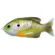 Livetarget Sunfish Walking Bait Natural/gr Naphal Műcsalieen Bluegill 7,5cm 12gr Naphal Műcsali