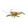 Livetarget Live Craw Finess Bait Orange Brown 6,3cm 11gr Plasztik Műcsali