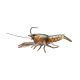 Livetarget Live Craw Finess Bait Orange Pumpkin 6,3cm 11gr Plasztik Műcsali