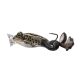 Livetarget The Ultimate Frog Popper Bait Brown Black 5cm 21gr Béka Utánzat
