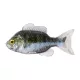 Livetarget Sunfish Unrigged Green-Pearl 8,5cm Gumi Naphal 4db