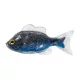 Livetarget Sunfish Unrigged Silver-Blue 8,5cm Gumi Naphal 4db