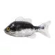 Livetarget Sunfish Unrigged Black-Silver 8,5cm Gumi Naphal 4db