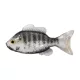 Livetarget Sunfish Unrigged White-Albino 8,5cm Gumi Naphal 4db